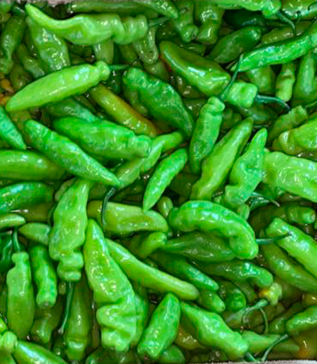 pimenta-verde.png